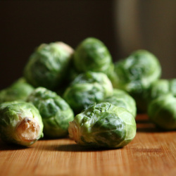 Brussels Sprouts